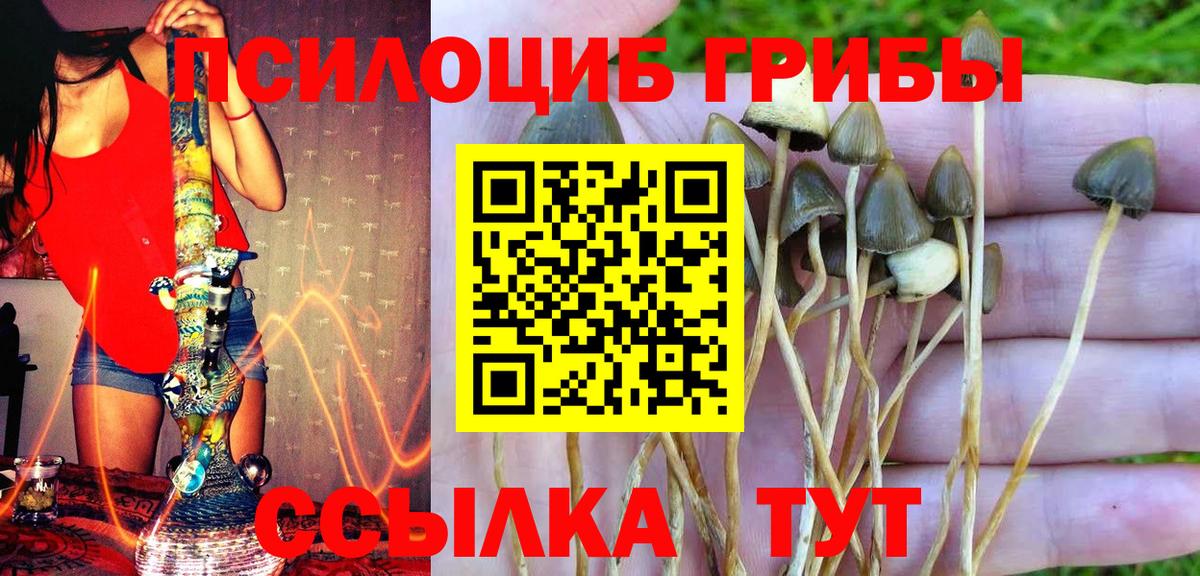 Галлюциногенные грибы MAGIC MUSHROOMS  Вход с VPN  Мценск 