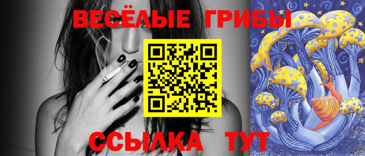 Галлюциногенные грибы Psilocybe Мценск